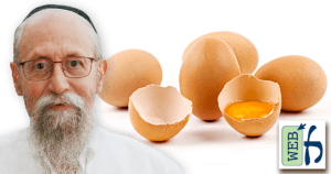 The Kashrut of Eggs