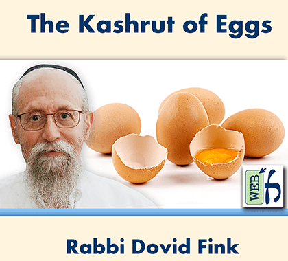 PODCAST: The Kashrut of Eggs