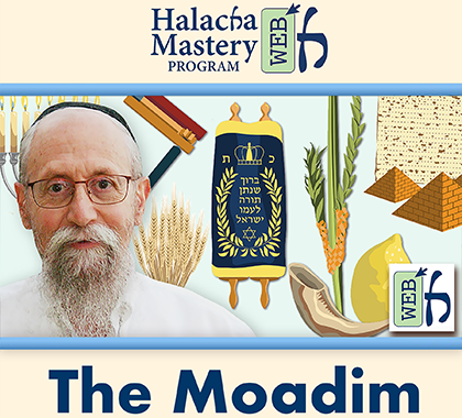 Rabbi Dovid Fink Interview: The Moadim Course