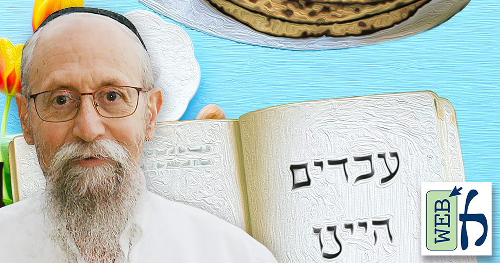 The Seder 2023 Maggid