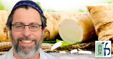 The Seder 2023: Maror