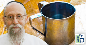 The Seder 2024: Rachtzah