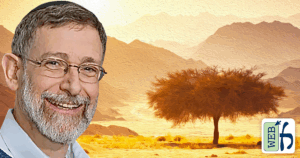 The Rabbinic Mind: Rebellions in the Desert