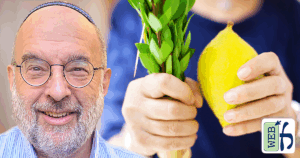 How to Hold Arba Minim
