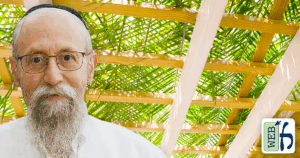 Tying Schach To A Sukkah