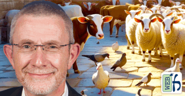 Sefer Vayikra: The Classical Commentators