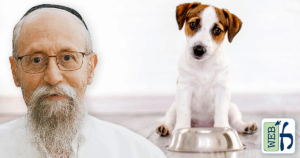Pet Food on Pesach